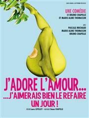 J'adore l'amour... J'aimerais bien le refaire un jour ! Thtre Traversire Affiche