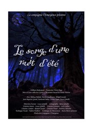 Le songe d'une nuit d'été Espace Magnan Affiche