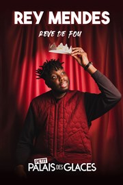 Rey Mendes dans Rêve de fou Petit Palais des Glaces Affiche